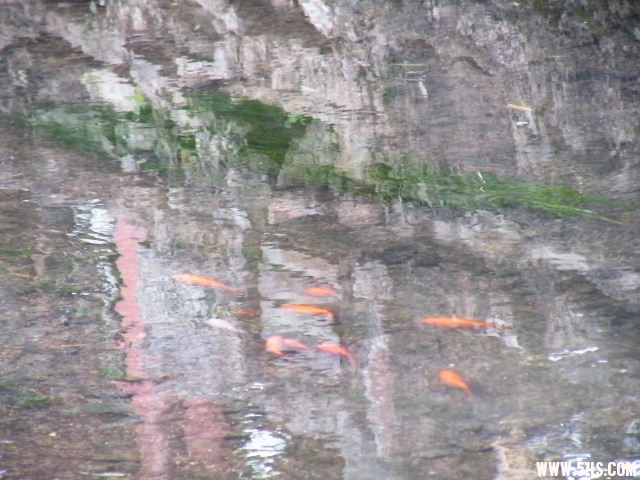 DSCF8621.JPG