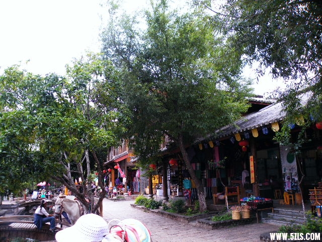 DSCF8631.JPG