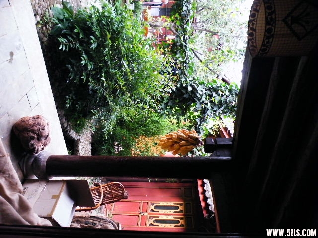 DSCF8655.JPG