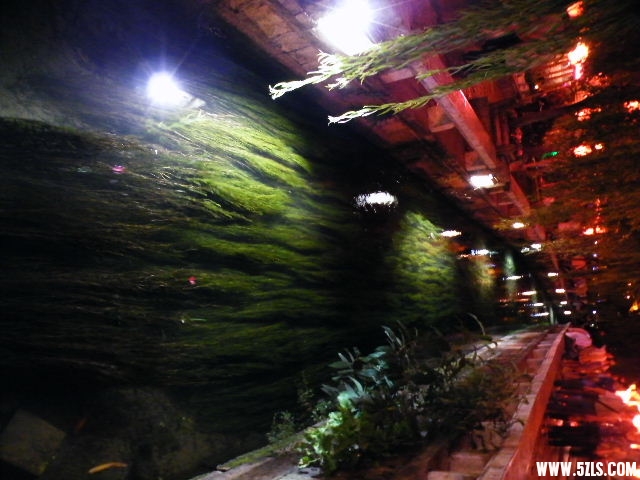 DSCF8675.JPG