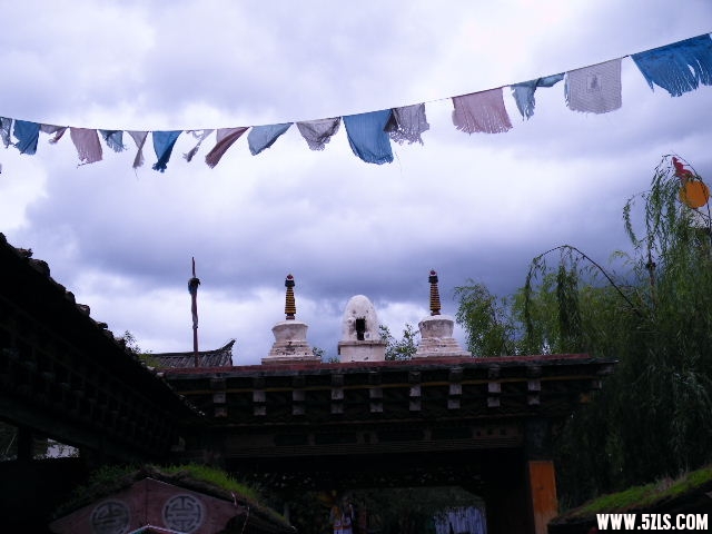 DSCF8629.JPG