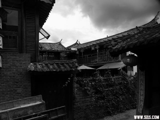 DSCF8651.JPG