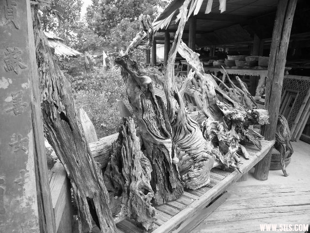 DSCF8690.JPG