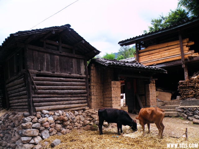 DSCF8762.JPG