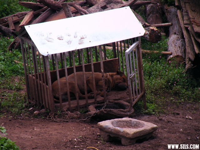 DSCF8695.JPG