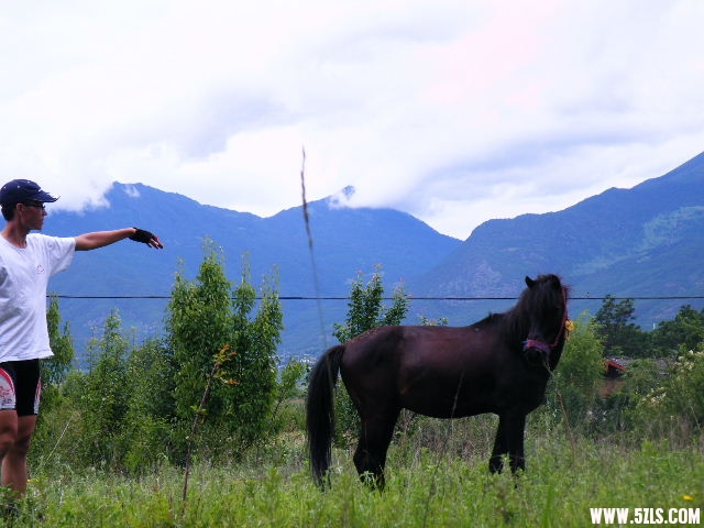 DSCF8712.JPG