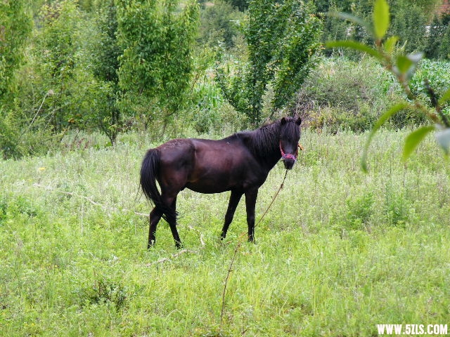 DSCF8710.JPG