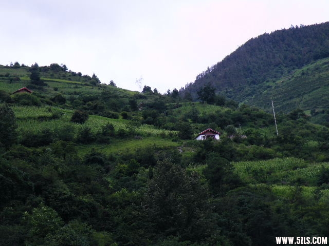 DSCF8807.JPG