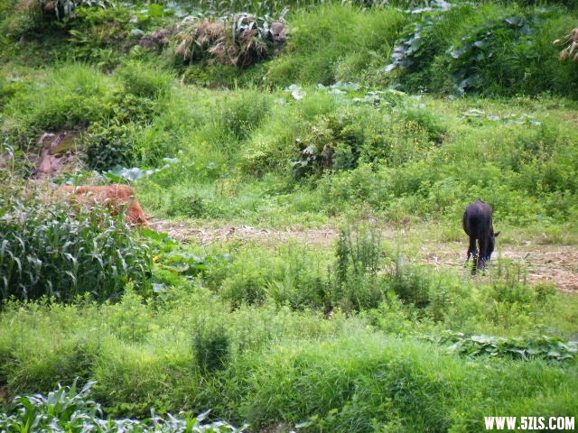DSCF8798.JPG