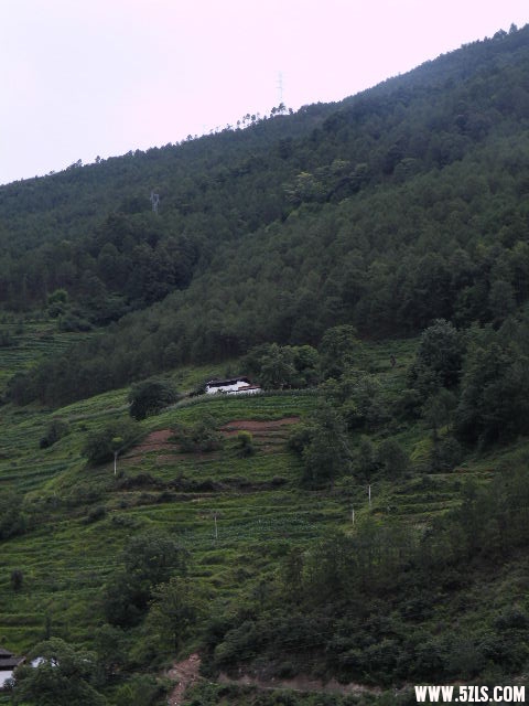 DSCF8792.JPG