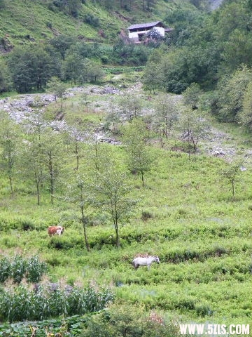 DSCF8787.JPG