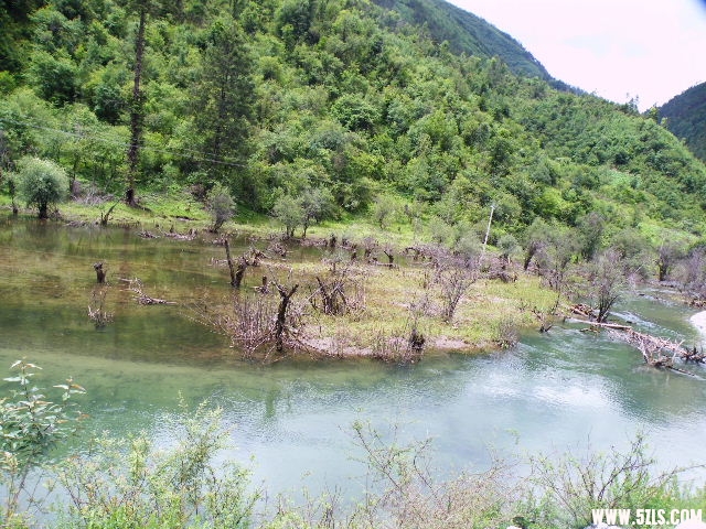 DSCF8851.JPG