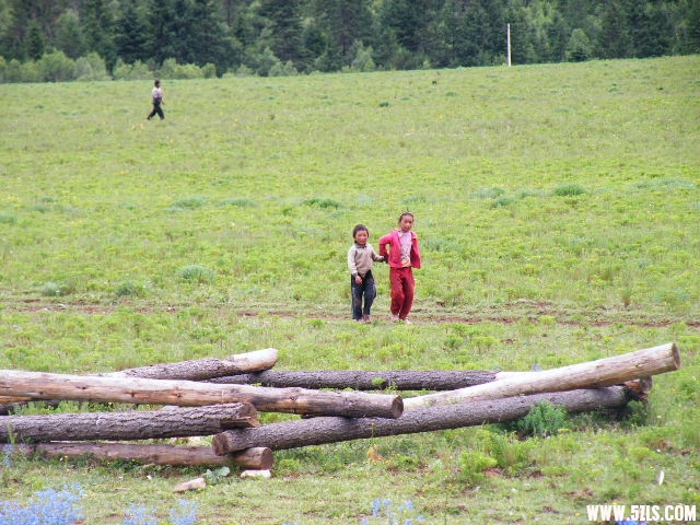 DSCF8910.JPG