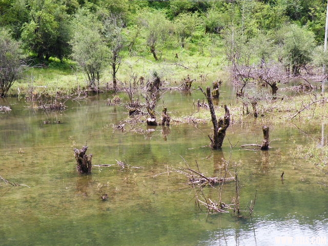 DSCF8853.JPG