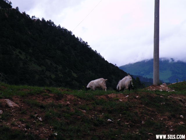 DSCF8868.JPG