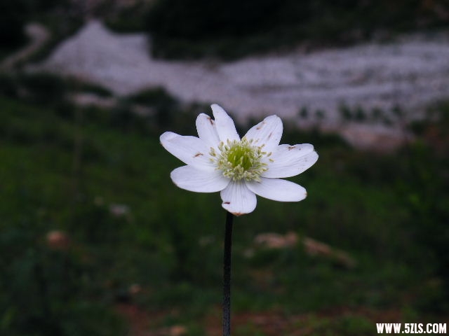 DSCF8878.JPG