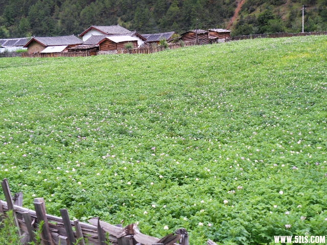 DSCF8865.JPG