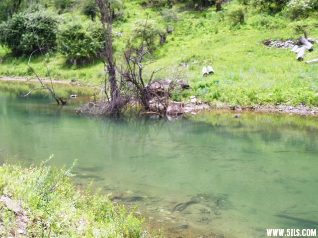 DSCF8854.JPG