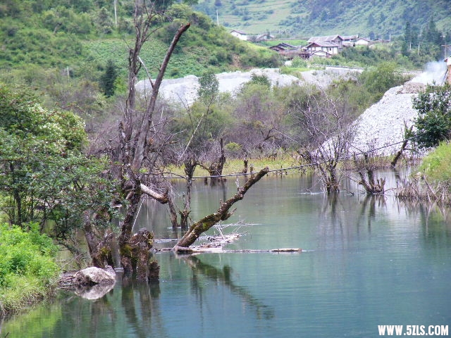 DSCF8846.JPG