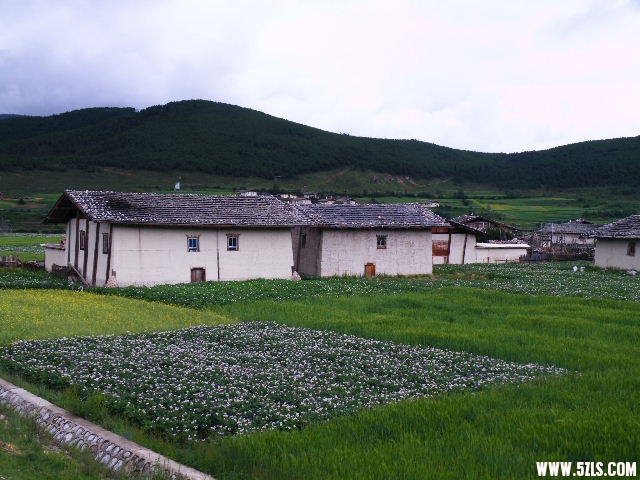 DSCF8921.JPG