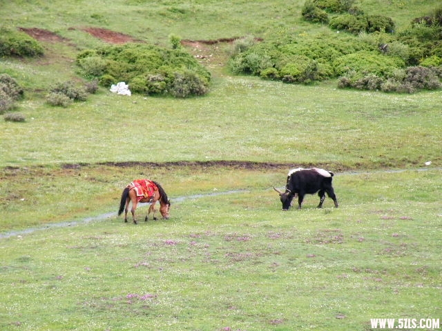 DSCF8912.JPG
