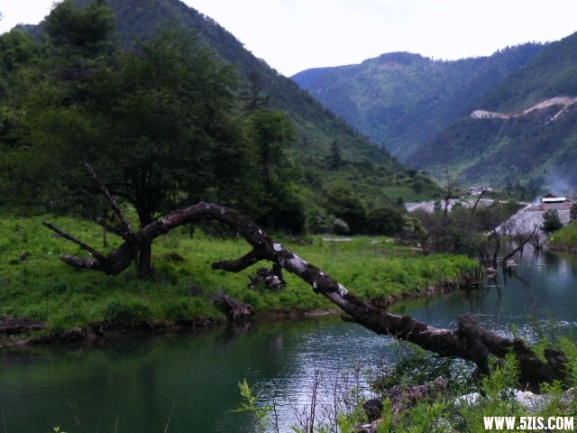 DSCF8840.JPG