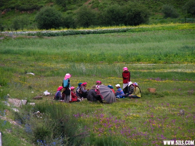DSCF8930.JPG