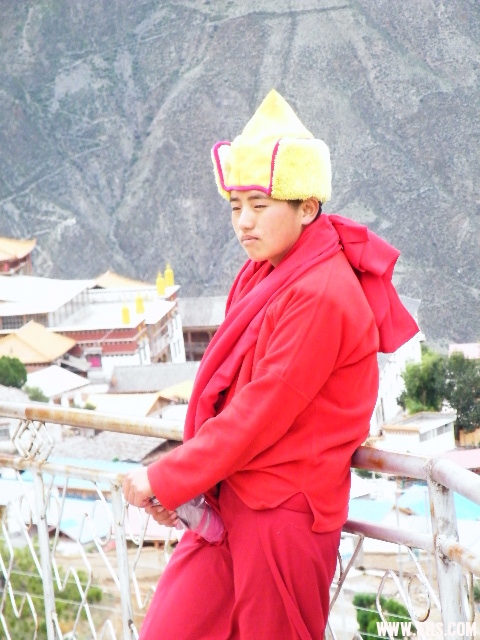DSCF8956.JPG