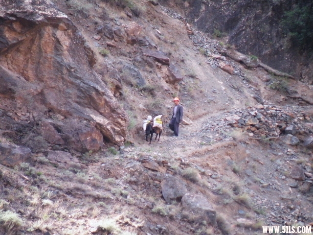 DSCF9127.JPG