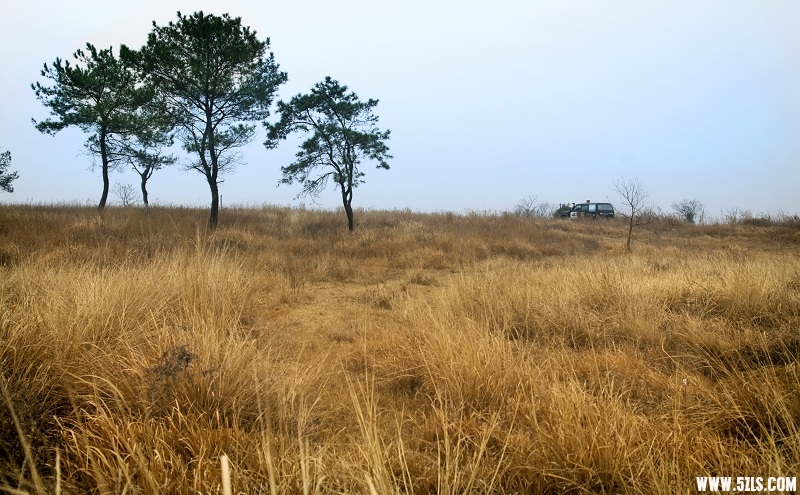 DSC_6872.jpg
