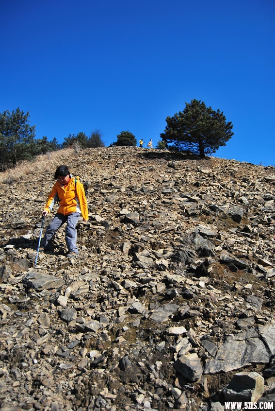 DSC_1105.jpg