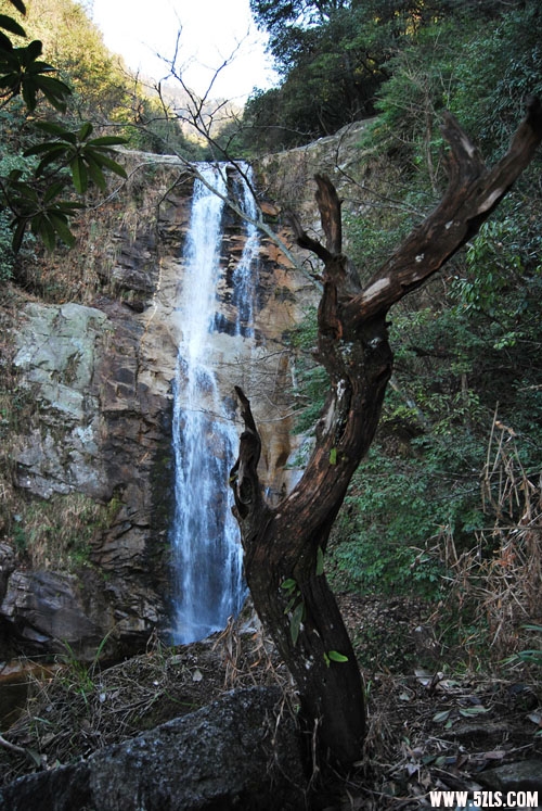 DSC_1110.jpg