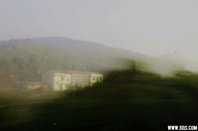  865.jpg