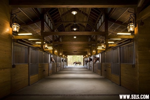 equestrian-04.jpg