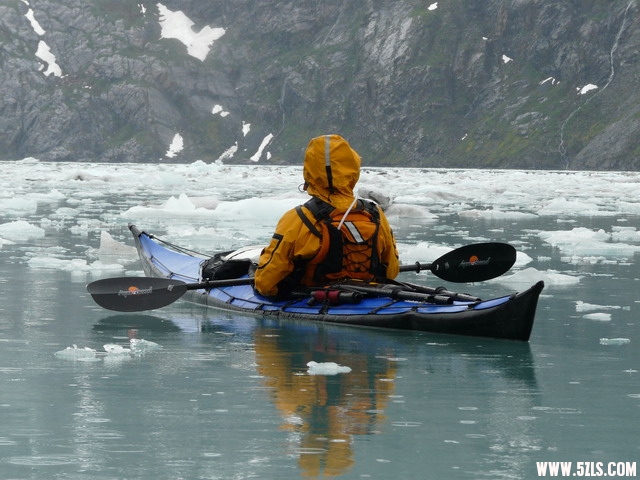 Ice in John Hopkins Inlet.jpg