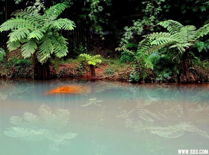 DSC_6402_Ӱ_2.jpg
