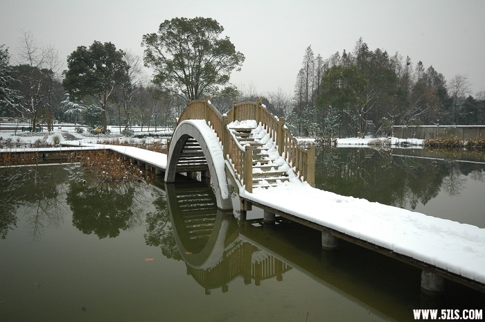 2010ĵһѩ002.jpg