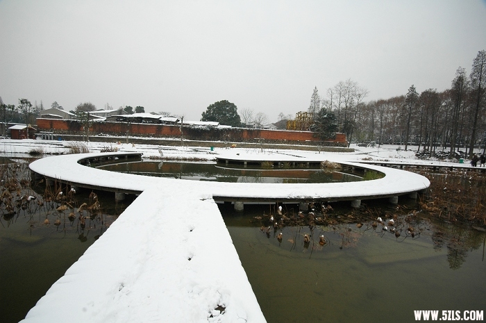 2010ĵһѩ003.jpg