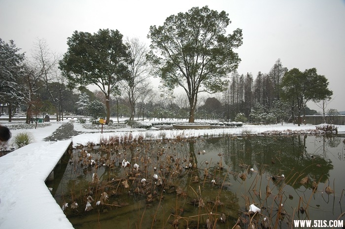 2010ĵһѩ004.jpg