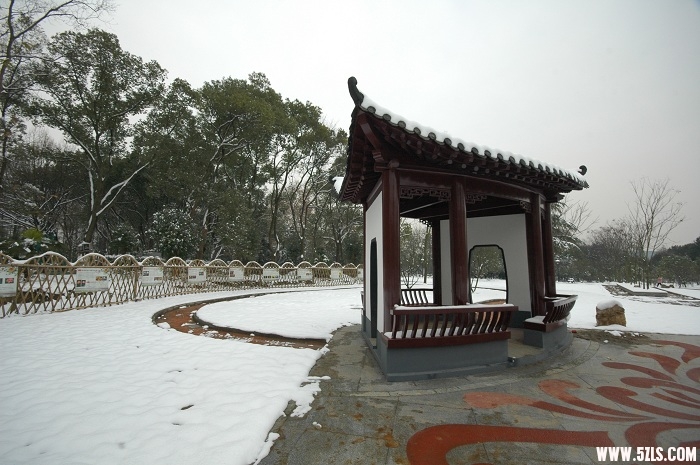 2010ĵһѩ005.jpg