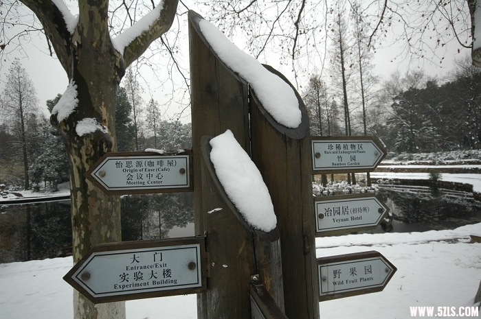 2010ĵһѩ012.jpg