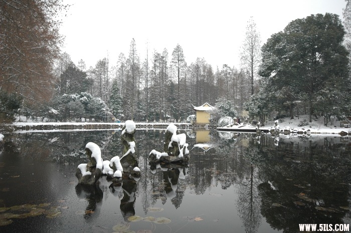 2010ĵһѩ011.jpg