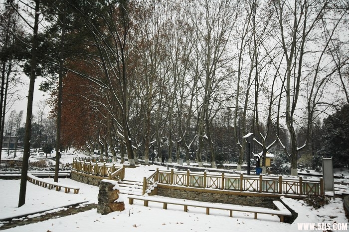 2010ĵһѩ008.jpg