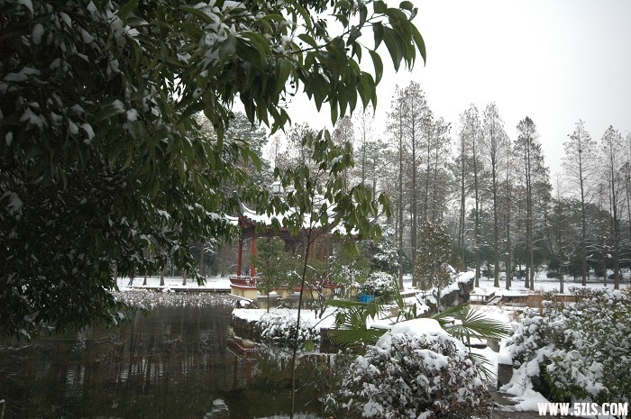 2010ĵһѩ016.jpg