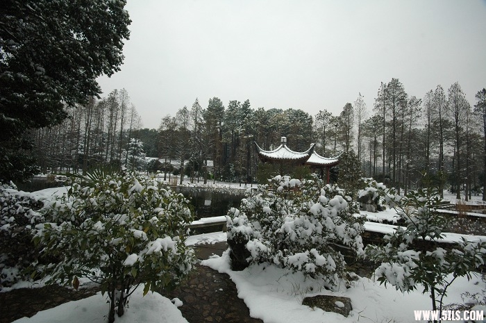 2010ĵһѩ015.jpg