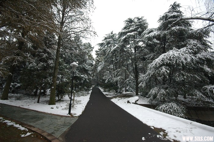 2010ĵһѩ020.jpg