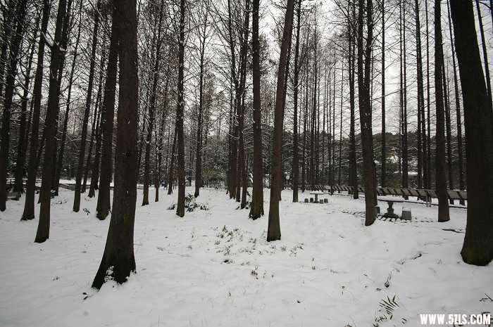 2010ĵһѩ018.jpg