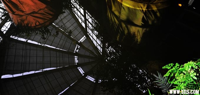  109.jpg