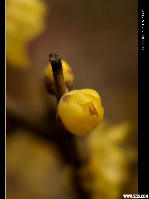 nEO_IMG_DSC00186.jpg