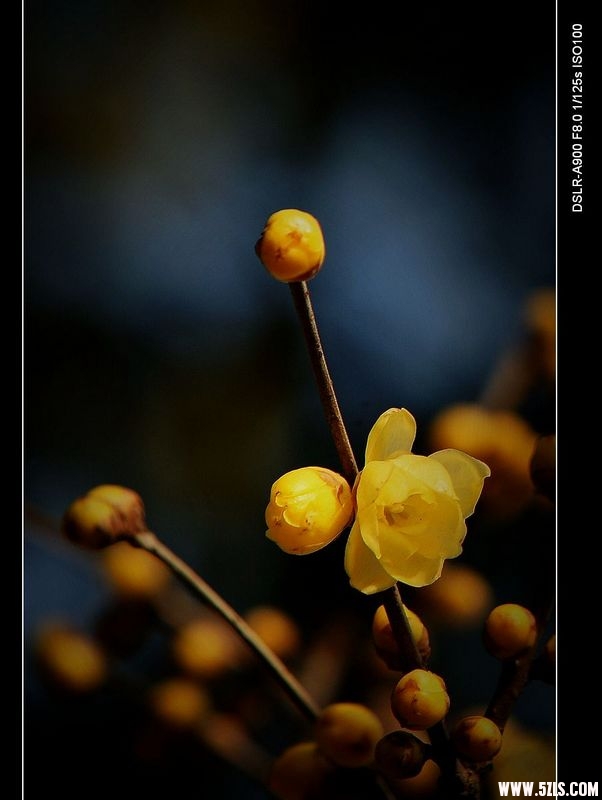 nEO_IMG_DSC01626.jpg